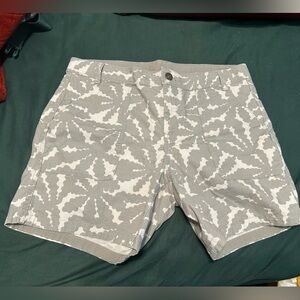 NORTHFACE SHORTS SIZE 10